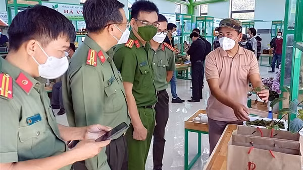 Khai trương Khu trung tâm giới thiệu, tổ chức hội chợ, phiên chợ sâm Ngọc Linh