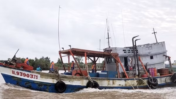Bắt giữ 4 tàu chở 340.000 lít dầu DO không có hóa đơn ảnh 2
