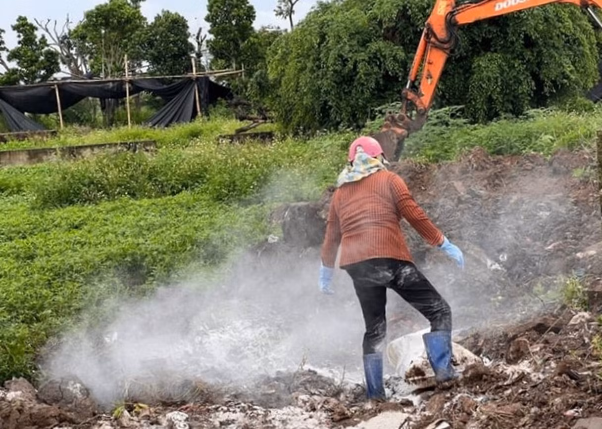 Dịch tả lợn châu Phi bùng phát ở nhiều địa phương -0