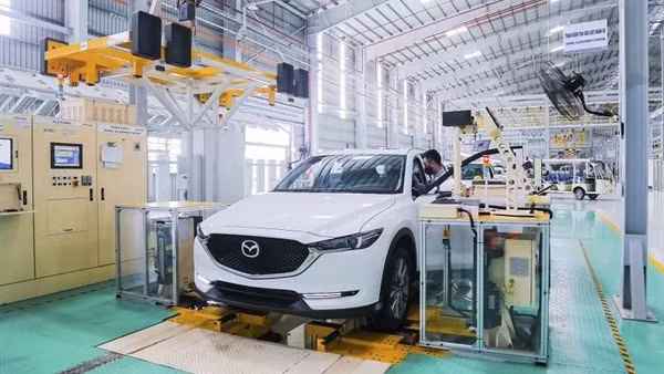 Chủ xe nên chủ động đăng kiểm sớm để tránh ùn tắc