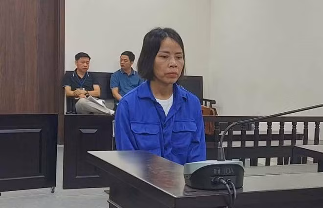 Lừa có quan hệ rộng với các lãnh đạo sở, nữ giám đốc chiếm đoạt hơn 7,5 tỷ đồng -0