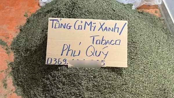 Quyết liệt ngăn chặn ma túy núp bóng “cỏ Mỹ”