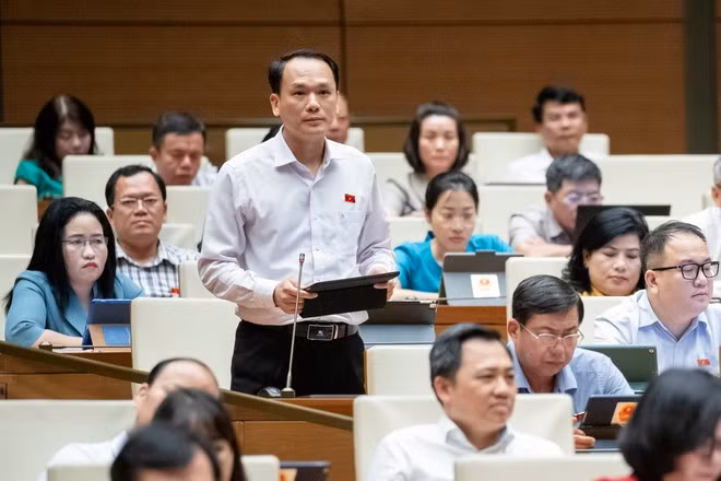  Quỹ phát triển du lịch: 