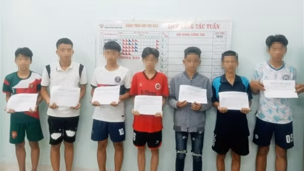 Làm rõ 10 thanh thiếu niên ném đá vào ô tô trên cao tốc Cam Lâm - Vĩnh Hảo