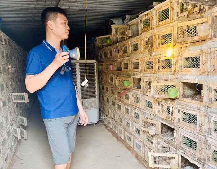 Công phu nghề nuôi “ông hổ mang” -0