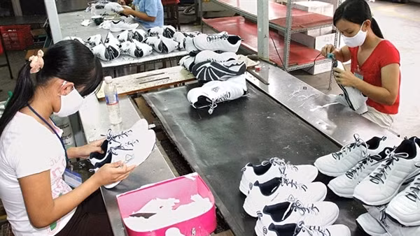Sóc Trăng tuyển hàng ngàn lao động ngành Thủy sản ảnh 3