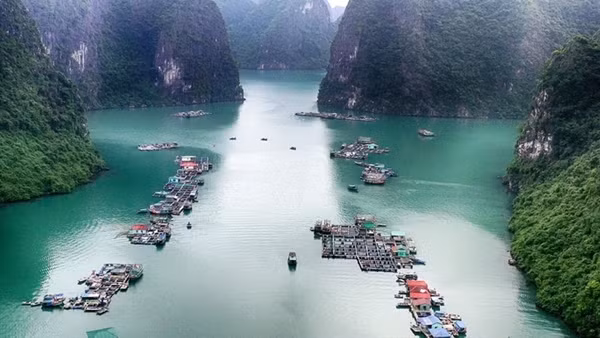 Quảng Ninh khởi công 4 dự án trọng điểm, tổng mức đầu tư 280 nghìn tỷ đồng ảnh 2