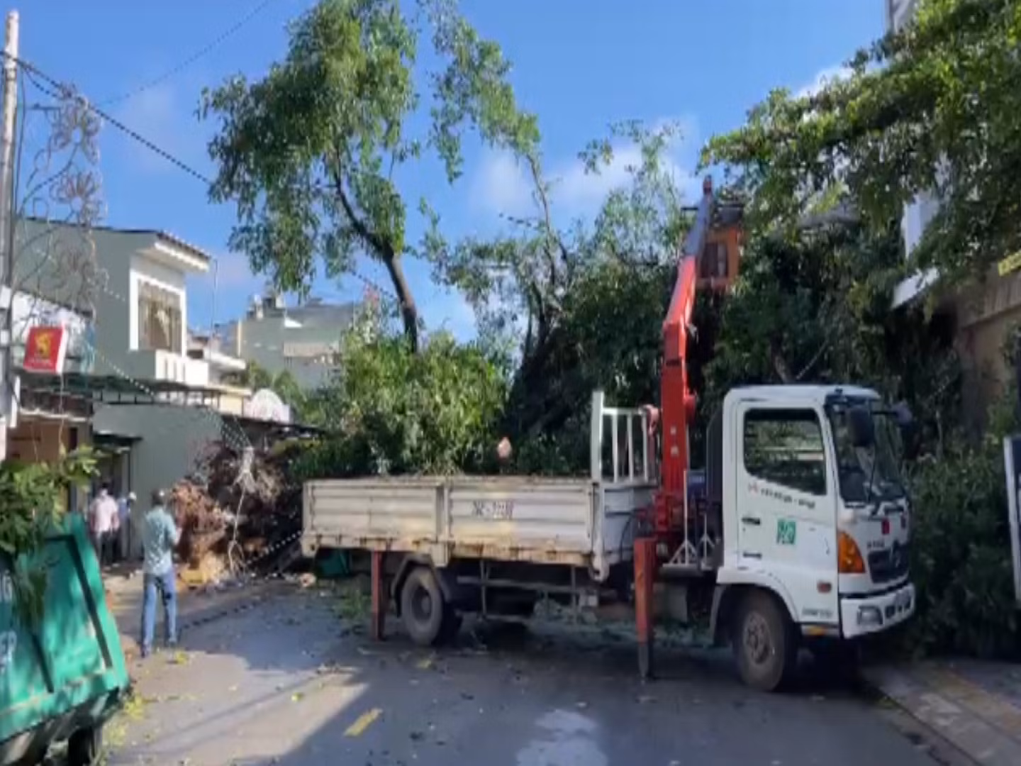 Quảng Ngãi: Cây đa hàng trăm tuổi ngã đè người phụ nữ bán cá tử vong -0