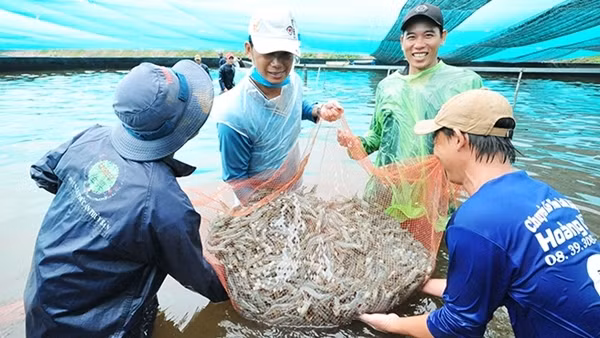 Kiểm soát dịch bệnh, từng bước khôi phục hoạt động sản xuất ảnh 3