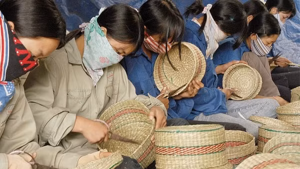 Doanh nghiệp duy trì “3 tại chỗ” ảnh 3