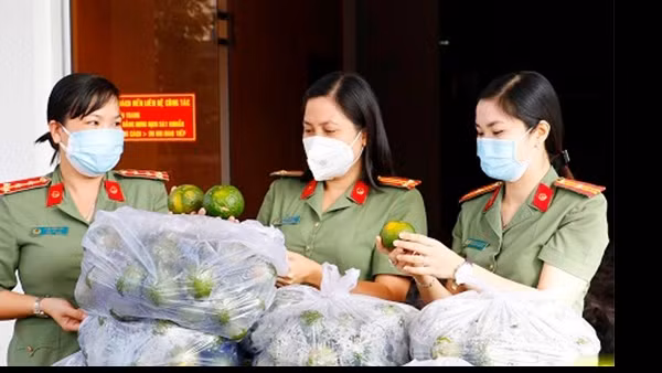 Nông dân trồng sắn gặp khó vì nhà máy chậm thu mua nguyên liệu ảnh 2