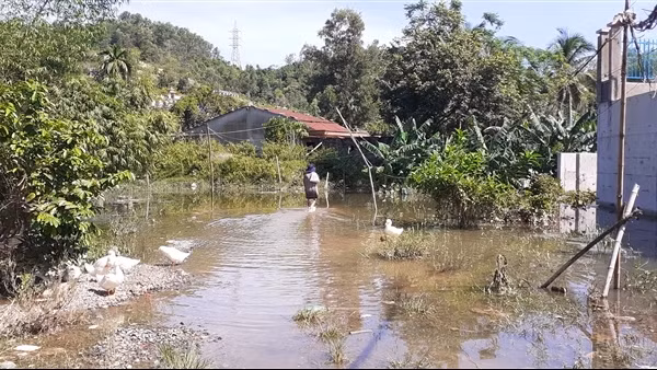 20 năm khốn khổ vì mua đất nền của doanh nghiệp có vốn Nhà nước ảnh 2