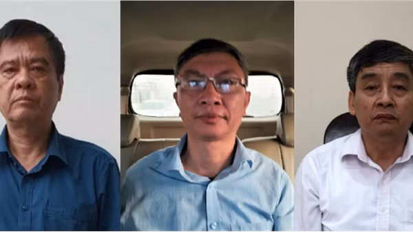 Khởi tố mua tàu hàng nước ngoài “xẻ thịt” thành sắt vụn ảnh 2