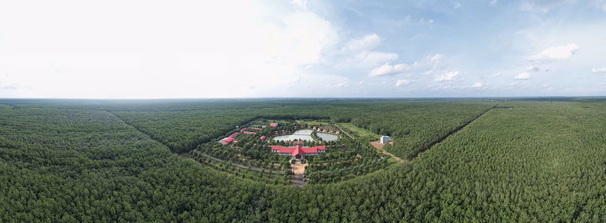 VRG đáp ứng EUDR, tiên phong chứng nhận cao su phát thải thấp -0