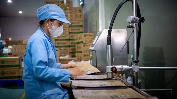Xuất khẩu bứt phá, phấn đấu đạt kim ngạch kỷ lục