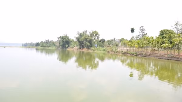 Dùng bình kích điện đi bắt cá bị điện giật tử vong