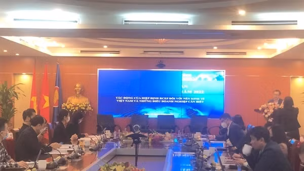 Để tránh rủi ro khi xuất khẩu vào thị trường RCEP ảnh 3