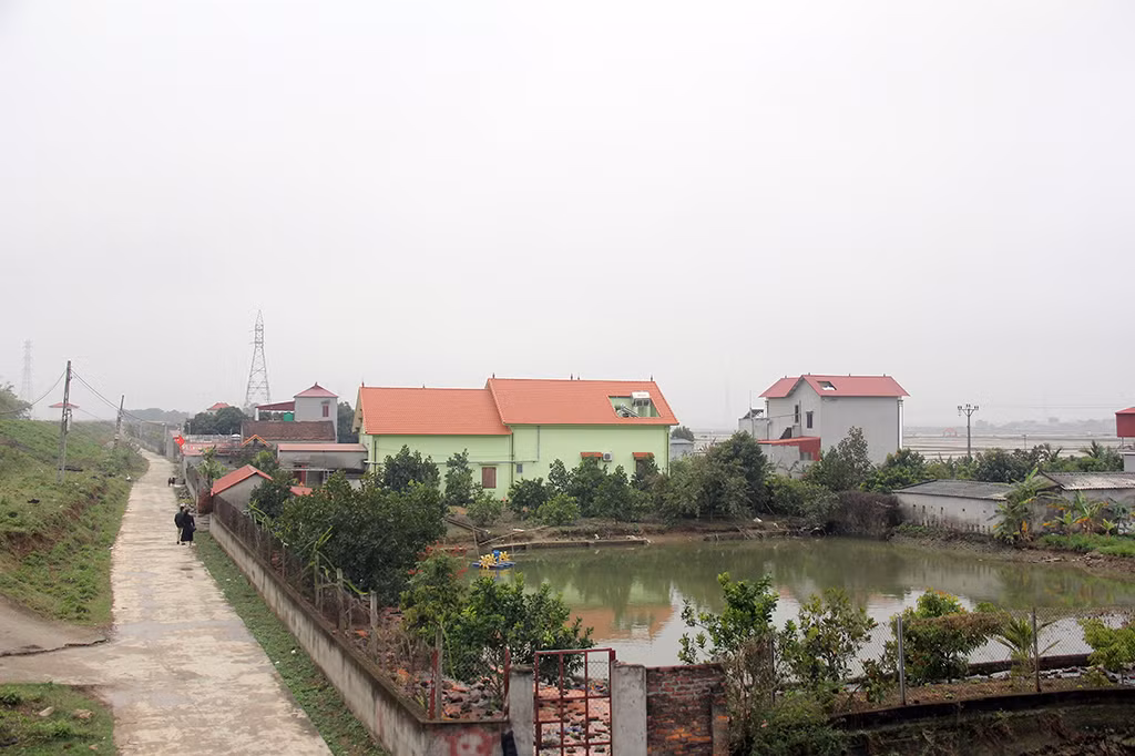ao cá ven chân đê sông thương- nơi phát hiện những khối gỗ lim cổ..jpg -0