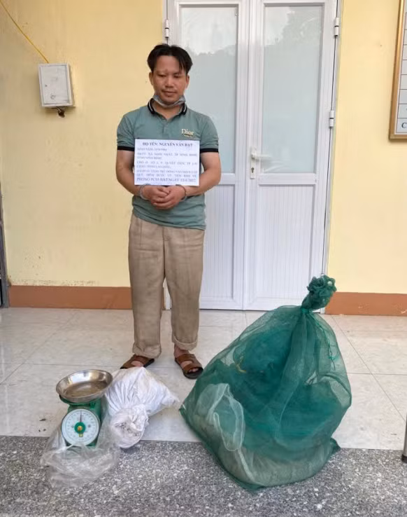Thu mua hơn nửa tạ rắn hổ mang, trăn giấu tại nhà -0