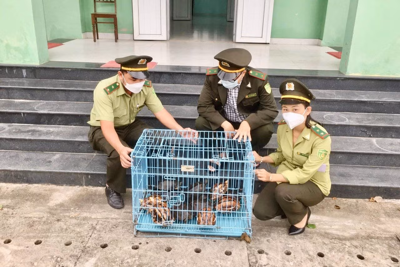 Truy tìm kẻ đánh cắp 2 cá thể rùa quý hiếm tại Trung tâm Bảo tồn -0