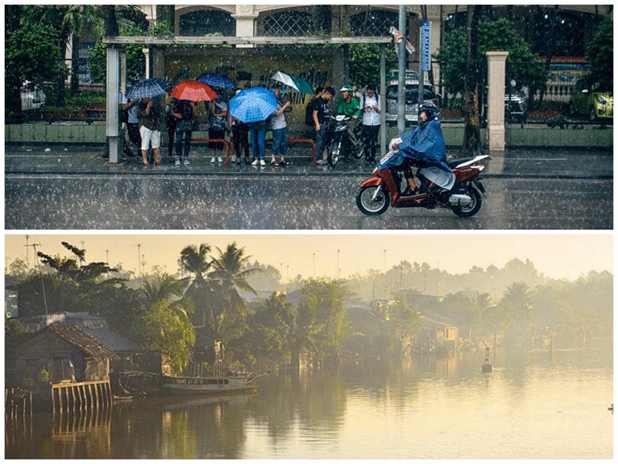 Bắc bộ mưa rét, Tây Nguyên và Nam Bộ ngày nắng to -0