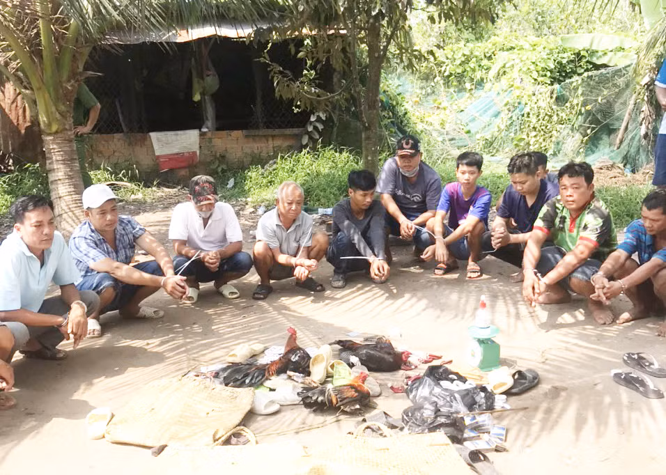 Bắt quả tang 14 đối tượng đá gà, tạm giữ trên 55 triệu đồng -0