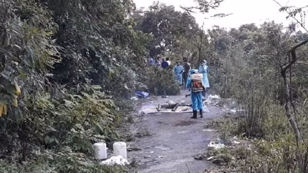 Phá án nhờ kinh nghiệm... đi rừng ảnh 4