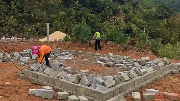 Nhiều công trình trên đất nông nghiệp ở Hải Phòng được chủ đầu tư tự nguyện tháo dỡ ảnh 5