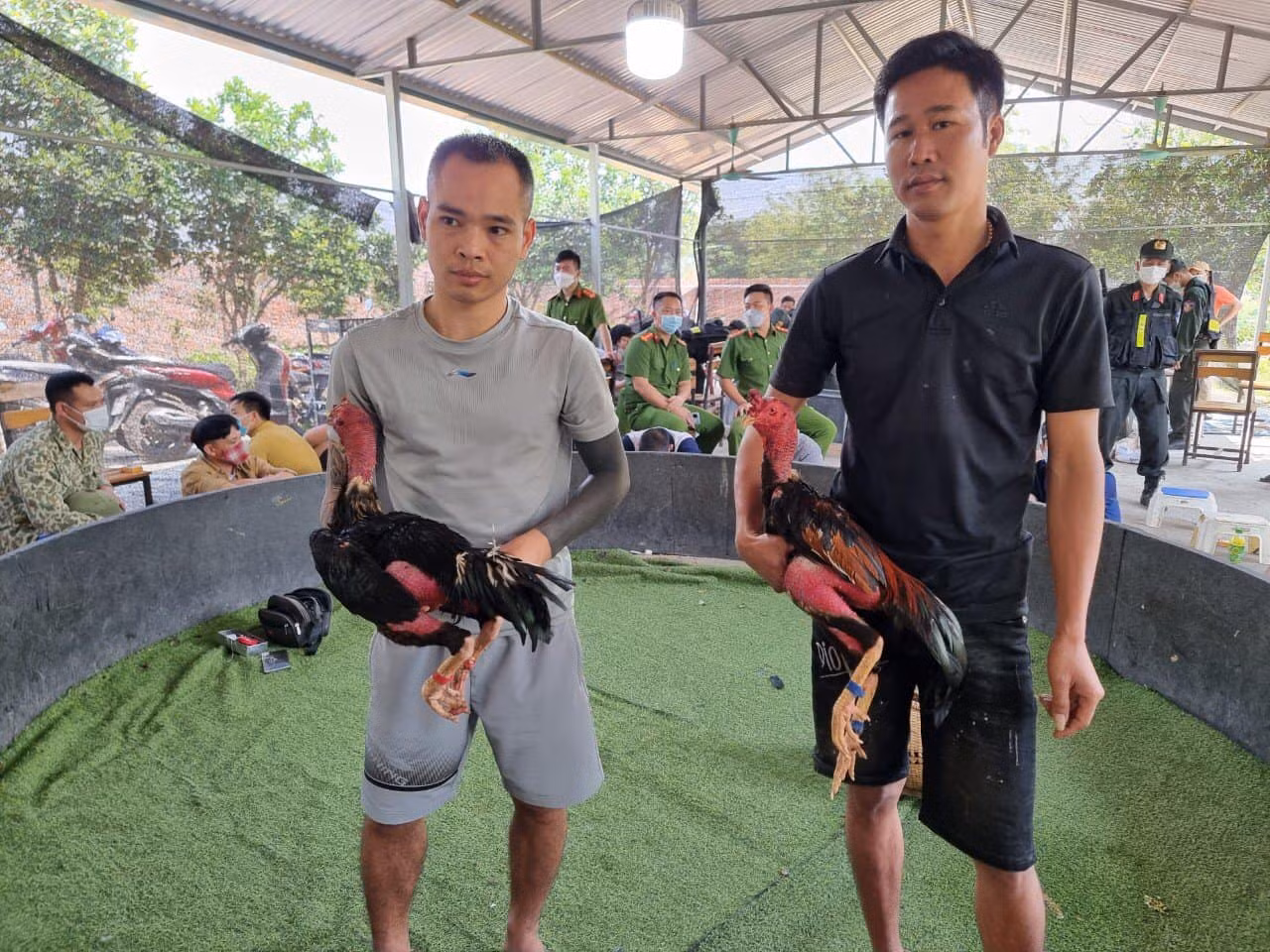 Hơn 100 cán bộ, chiến sĩ ập vào sới bạc gà trong trang trại -0