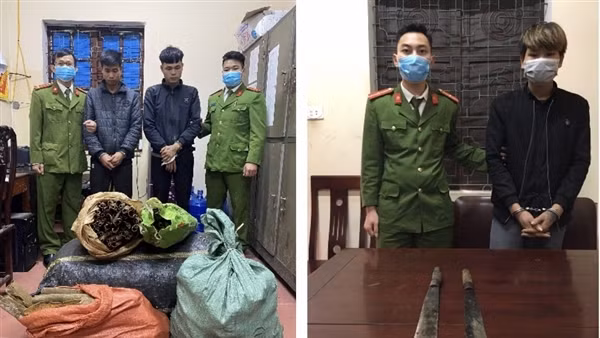 Đột nhập 4 công ty trộm tài sản gần 300 triệu đồng ảnh 4