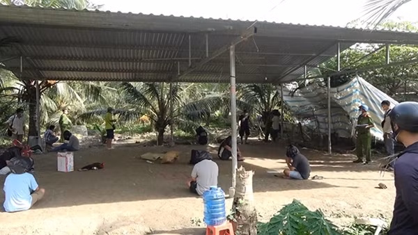 Bắt quả tang 83 đối tượng đá gà ngày Tết ảnh 5