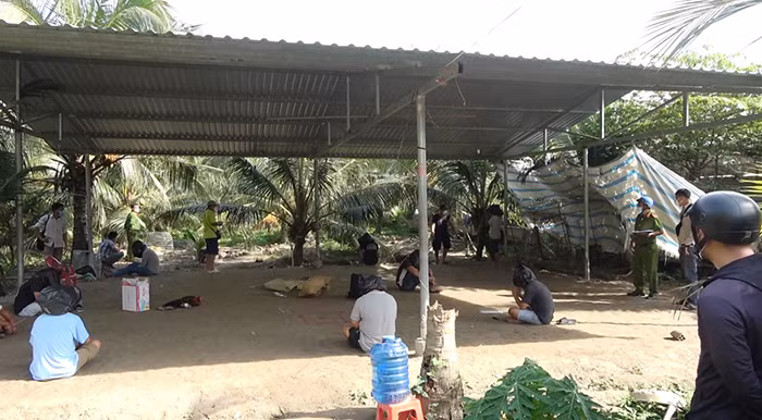 Có cổng rào và camera quan sát, tụ điểm đá đá gà vẫn bị lực lượng Công an triệt phá -0