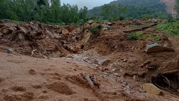 Núi Trang Dài sạt lở bồi lấp nhiều hécta lúa của người dân