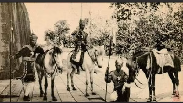 Ngựa trong pháp luật thời xưa