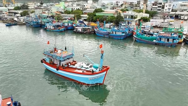 Khắc phục “thẻ vàng” IUU từ nền tảng số quản lý tàu cá