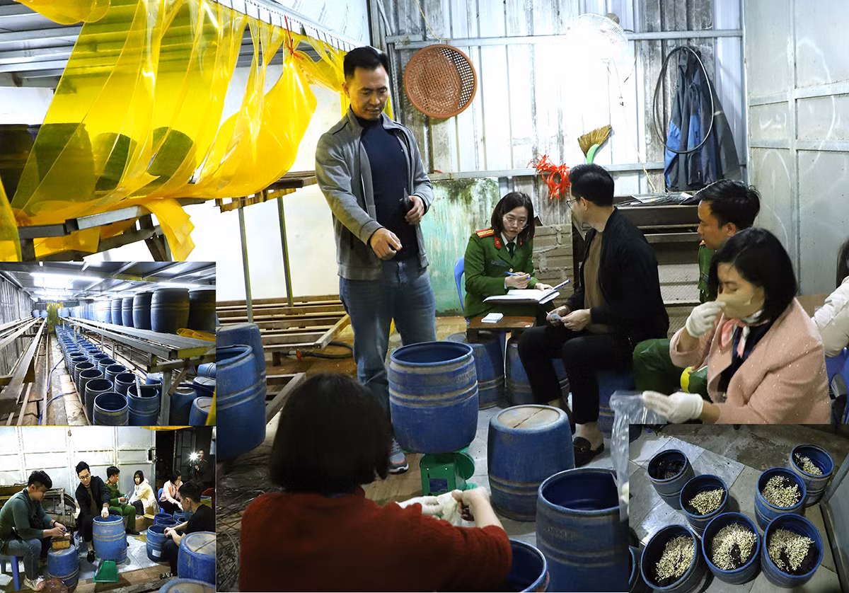 Khởi tố, bắt tạm giam&nbsp;đối tượng sản xuất gần 2,8 tấn giá đỗ bằng chất cấm -0
