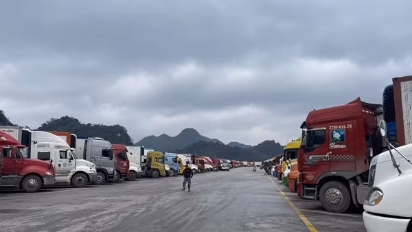 Hải quan kiến nghị gỡ vướng kiểm dịch thực phẩm nhập khẩu để giải tỏa ùn tắc