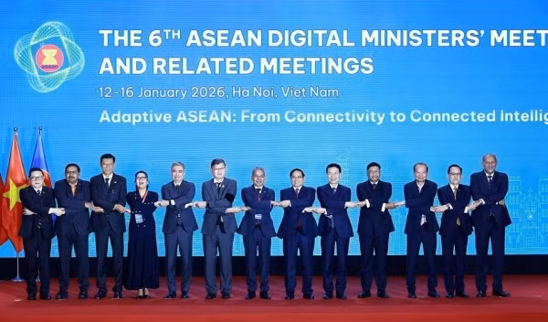 Cơn sốt AI và cuộc thanh lọc cần thiết -0