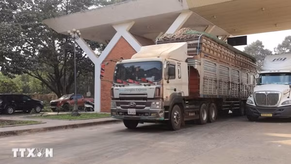 Khẩn trương giải tỏa ách tắc, thông quan kịp thời thực phẩm, hàng hóa