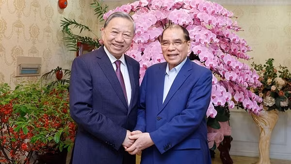 Tổng Bí thư Tô Lâm thăm, chúc Tết nguyên Tổng Bí thư Nông Đức Mạnh