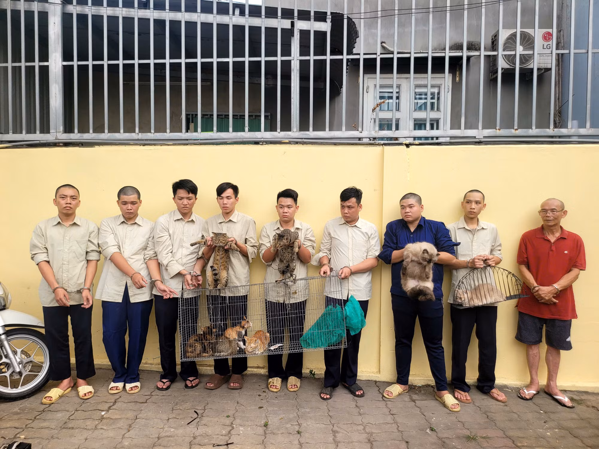 Triệt phá nhóm đối tượng chuyên trộm cắp mèo số lượng lớn -0