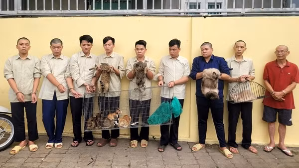 Nhóm “dơi đêm” chuyên rình mò săn trộm mèo của dân sa lưới