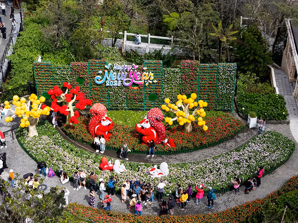 Hàng nghìn khách đến du xuân tại Sun World Ba Na Hills đầu năm mới 2025 -0