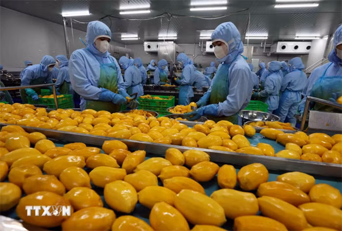 Thủ tướng chỉ đạo một số giải pháp trọng tâm thúc đẩy tăng trưởng kinh tế -0