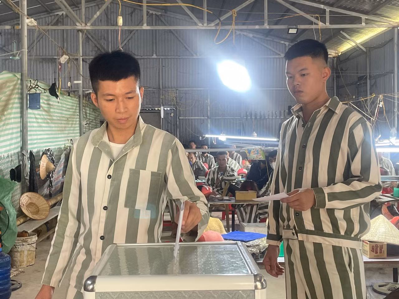 bỏ phiếu.jpg -1
