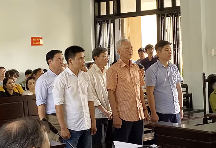 “Hô biến” gần 11.500 m3 gỗ rừng thông, gây thiệt hại hơn 5,5 tỷ đồng -0