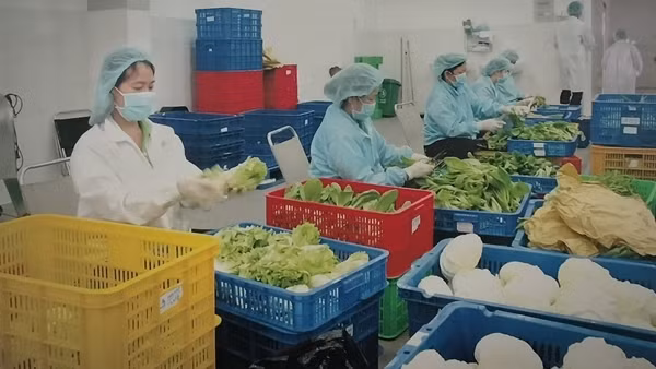 Kêu gọi đầu tư vào vùng nguyên liệu nông sản