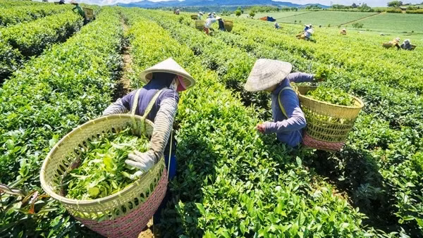 Nhiều dự án về tăng trưởng xanh còn "dang dở", khó đạt mục tiêu
