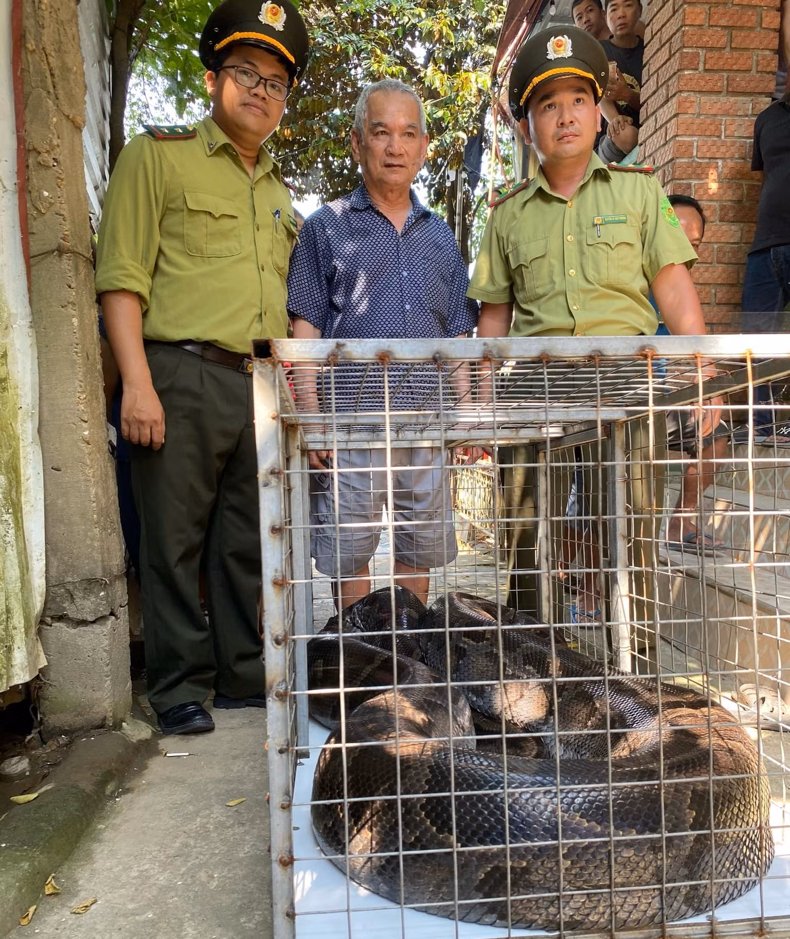 Trăn đất “khổng lồ” bò vào vườn, chủ nhà cùng Kiểm lâm bắt thả về tự nhiên -0