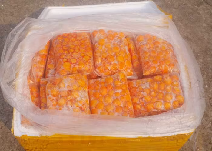 Bắt giữ vụ vận chuyển hơn 760 kg trứng gà non không rõ nguồn gốc -1